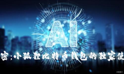 专家解密：小狐狸比特币钱包的独家使用秘诀