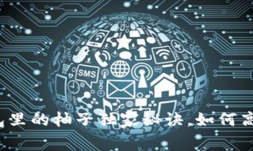 专家揭秘：以太坊钱包里的柚子独家秘诀，如何高效管理你的数字资产