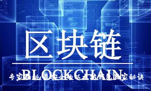 专家揭秘：最安全的以太坊钱包独家秘诀