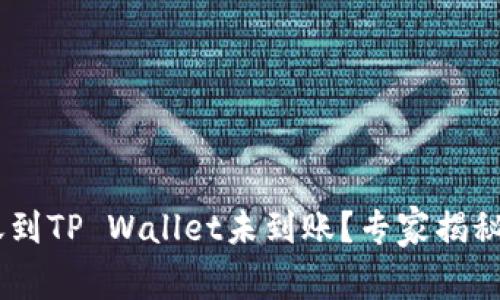 USDT转账到TP Wallet未到账？专家揭秘解决秘诀