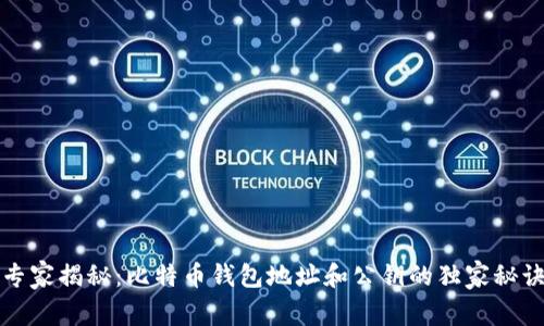 专家揭秘：比特币钱包地址和公钥的独家秘诀