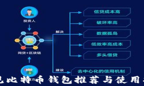 
常见比特币钱包推荐与使用指南