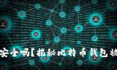 比特币钱包安全吗？揭秘比特币钱包被黑的可能