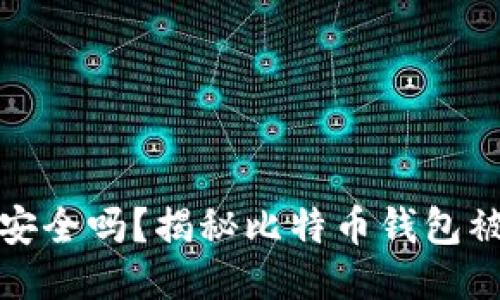 比特币钱包安全吗？揭秘比特币钱包被黑的可能性