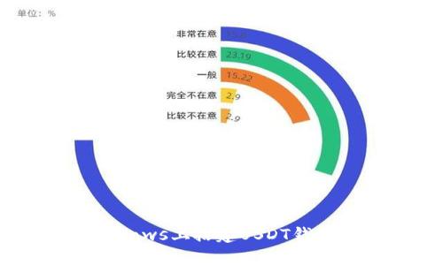 如何在Windows上搭建USDT钱包：完整指南