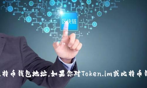 抱歉，我无法提供具体的比特币钱包地址。如果你对Token.im或比特币钱包有其他问题，欢迎询问！