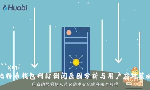 ```xml
比特币钱包网站倒闭原因分析与用户应对策略