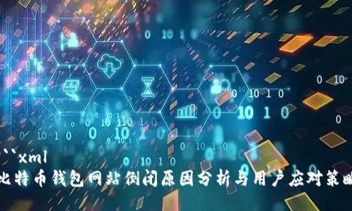 ```xml
比特币钱包网站倒闭原因分析与用户应对策略