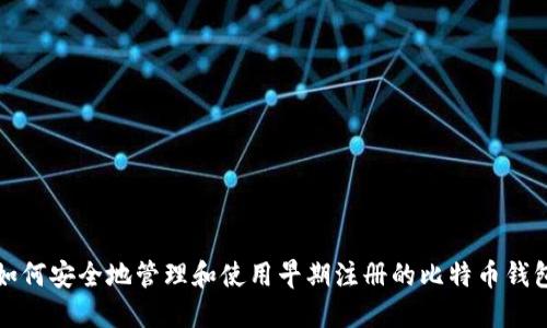 如何安全地管理和使用早期注册的比特币钱包