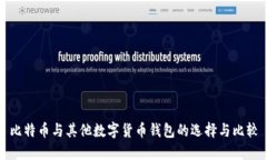 比特币与其他数字货币钱包的选择与比