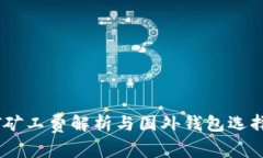 USDT矿工费解析与国外钱包选择指南