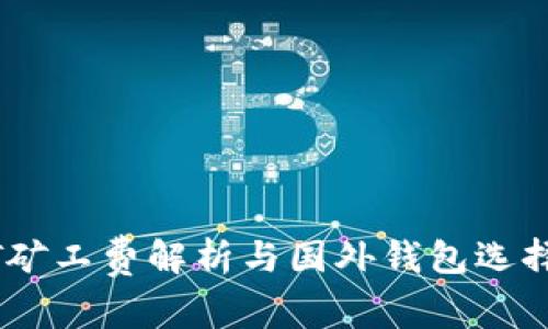 USDT矿工费解析与国外钱包选择指南