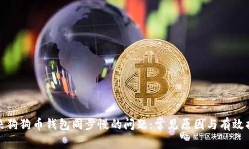 解决狗狗币钱包同步慢的问题：常见原因与有效措施