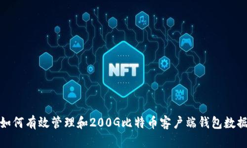 如何有效管理和200G比特币客户端钱包数据