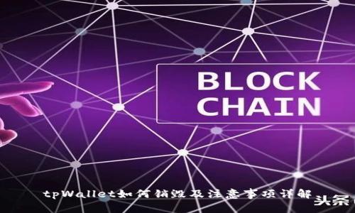 tpWallet如何销毁及注意事项详解