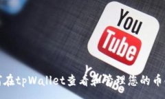 :如何在tpWallet查看和管理您的币金额